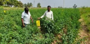 A successful journey from poverty to economic sustainability documentation 2