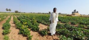 A successful journey from poverty to economic sustainability documentation 1
